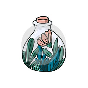 Succulent plants in a bottle doodle style hand drawn concept illustration for logo, label, stamp, sticker