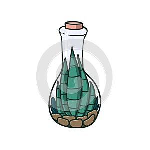 Succulent plants in a bottle doodle style hand drawn concept illustration for logo, label, stamp, sticker