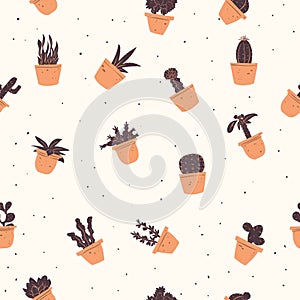 succulent plants design. Vector illustration decorative design