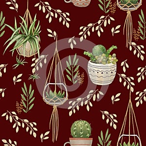 Succulent plants seamless pattern