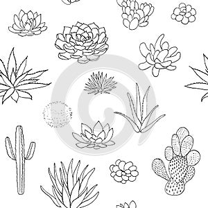 Succulent seamless pattern, hand drawn vector illustration. outline sketch chalk style