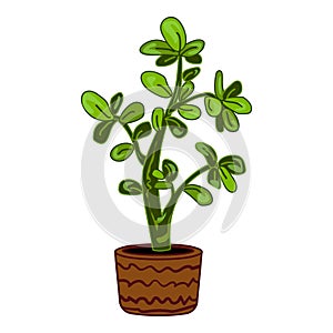 Succulent tree plant pot icon cartoon vector. Blossom jungle