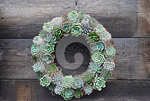 Succulent Wreath on a wooden background