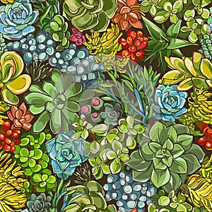 Succulents