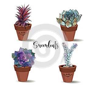 Succulents in clay pots. Set. Graphics with watercolor. Vector.