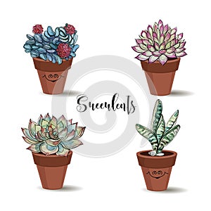 Succulents in clay pots. Set. Graphics with watercolor. Vector.