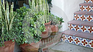 Succulents in flowerpot, gardening in California USA. Green house plants, clay pots. Mexican garden design, arid desert