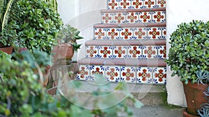 Succulents in flowerpot, gardening in California USA. Green house plants, clay pots. Mexican garden design, arid desert