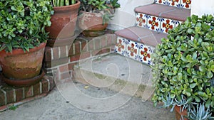 Succulents in flowerpot, gardening in California USA. Green house plants, clay pots. Mexican garden design, arid desert