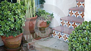 Succulents in flowerpot, gardening in California USA. Green house plants, clay pots. Mexican garden design, arid desert