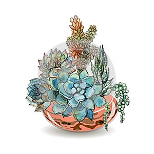 Succulents in glass aquariums. Colored sand. Flower decorative compositions. Graphics. Watercolor. Vector.