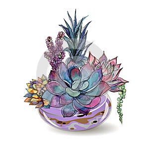 Succulents in glass aquariums. Colored sand. Flower decorative compositions. Graphics. Watercolor. Vector.