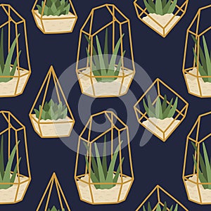 Succulents in golden terrariums, blue background, seamless pattern