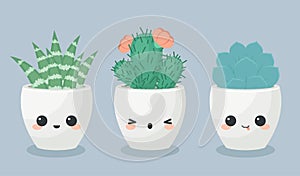 Succulents in kawaii faces flower pots