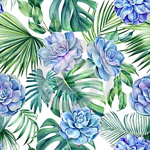 Succulents and palm leaf. Tropical seamless pattern. Jungle palm leaves and flowers watercolor painting