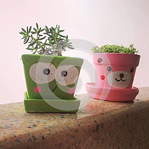 Succulents In Pots Painted As Colorful Green And Pink Characters