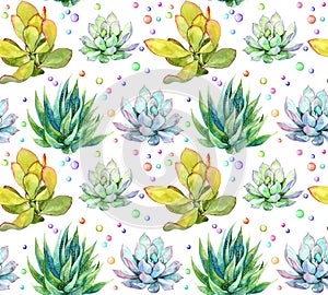 Succulents. Repeating pattern. Watercolor