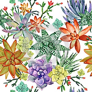 Succulents seamless pattern. cactus plants watercolor illustration