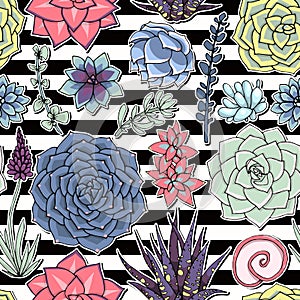 Succulents seamless striped pattern. Succulent ornament with sripes.