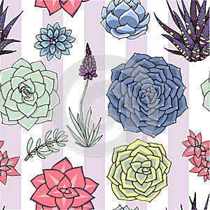 Succulents seamless striped pattern. Succulent ornament with sripes.