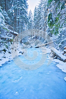 Sucha Bela gorge in Slovak Paradise during winter