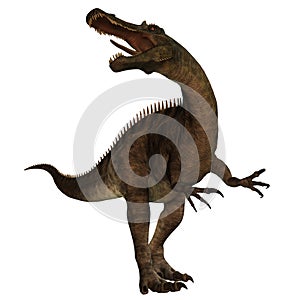 Suchomimus 01