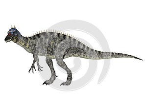 Suchomimus