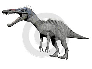 Suchomimus dinosaur - 3d render