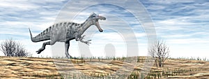 Suchomimus dinosaur in the desert - 3D render