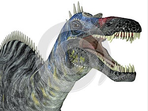 Suchomimus Dinosaur Head