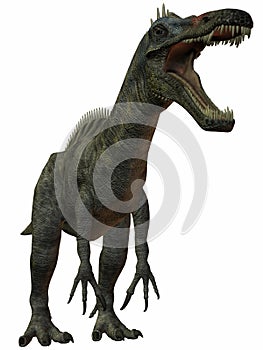 Suchomimus Tenerensis-3D Dinosaur