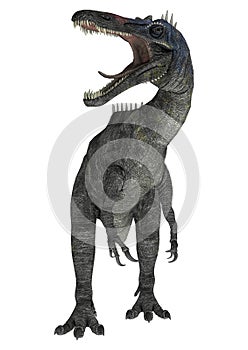 Suchomimus tenerensis