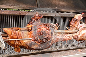 Suckling pig on grill - close-up