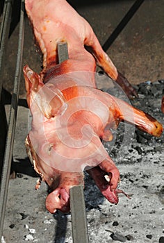 suckling pig spit while it is being cooked