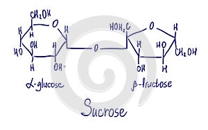 Sucrose chemical structure. Vector illustration Hand drawn photo