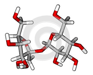 Sucrose sticks molecular model photo
