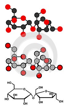 Sucrose sugar molecule. Also known as table sugar, cane sugar or beet sugar photo