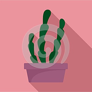 Suculent cactus pot icon, flat style
