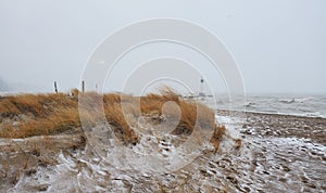 Sudden Snow Squall photo