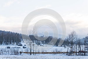 Sudeten foothills in winter.