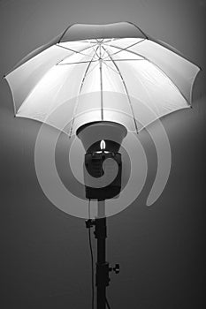Sudio Flash Stobe Light and Umbrella on Stand photo