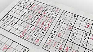 Sudoku Game with Puzzling Networks of Numbers