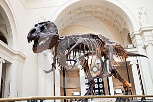 Sue the T-Rex