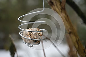 Suet cake or fat ball in a hanging metal spiral, safe bird feeding with less risk of injury than with the usual plastic nets, copy