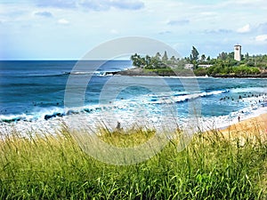 Sufers Waves Waimea Bay North Shore Oahu Hawaii