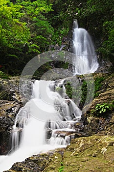 Sugao Falls in Kitakyushu, Fukuoka, Japan