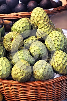 Sugar-apple, Annona squamosa - fruit of Madeira