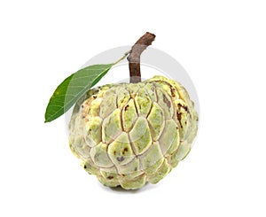 Sugar Apple with leaf custard apple, Annona, sweetsop isolated on white background