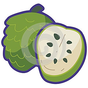 Sugar apple or sweetsop vector illustration, whole and half sliced fruit, custard apple or buah srikaya patek, soursop flat icon photo