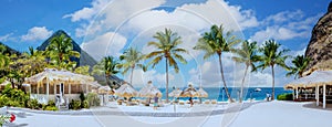 Sugar beach Saint Lucia , a public white tropical beach with palm trees and luxury beach chairs